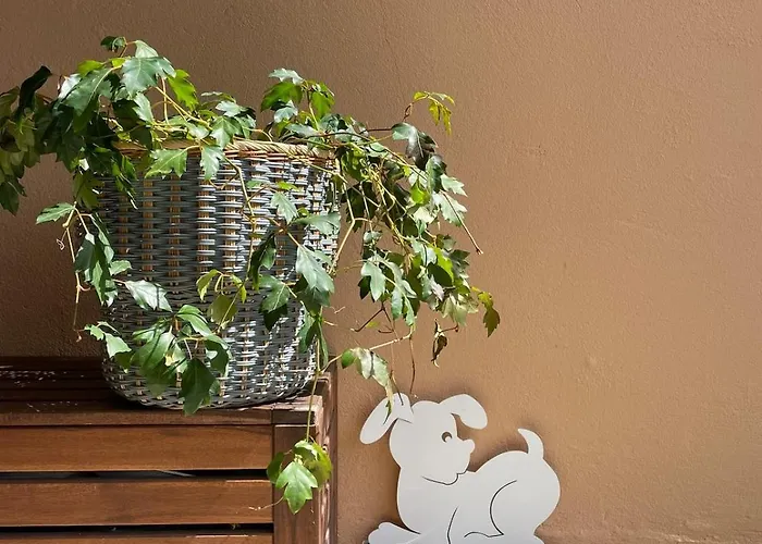 Stunning Facing Lake, *