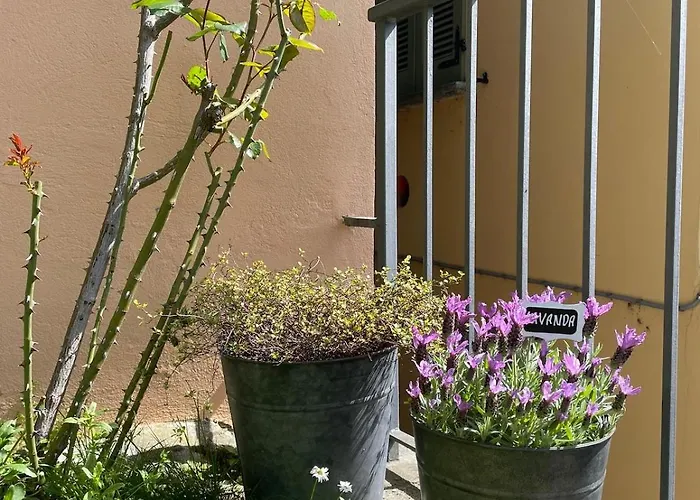 Stunning Facing Lake, 特雷梅佐